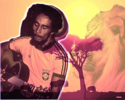 BoB MaRLey the king of ragga 